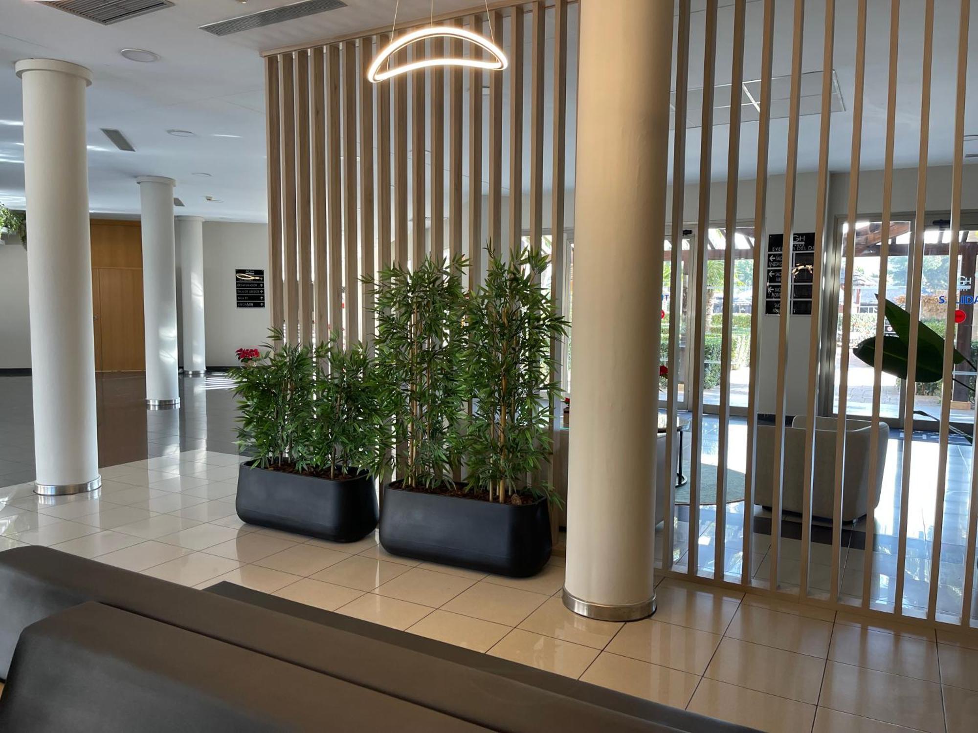Agh Canet كانيت ذي بيرينغير المظهر الخارجي الصورة