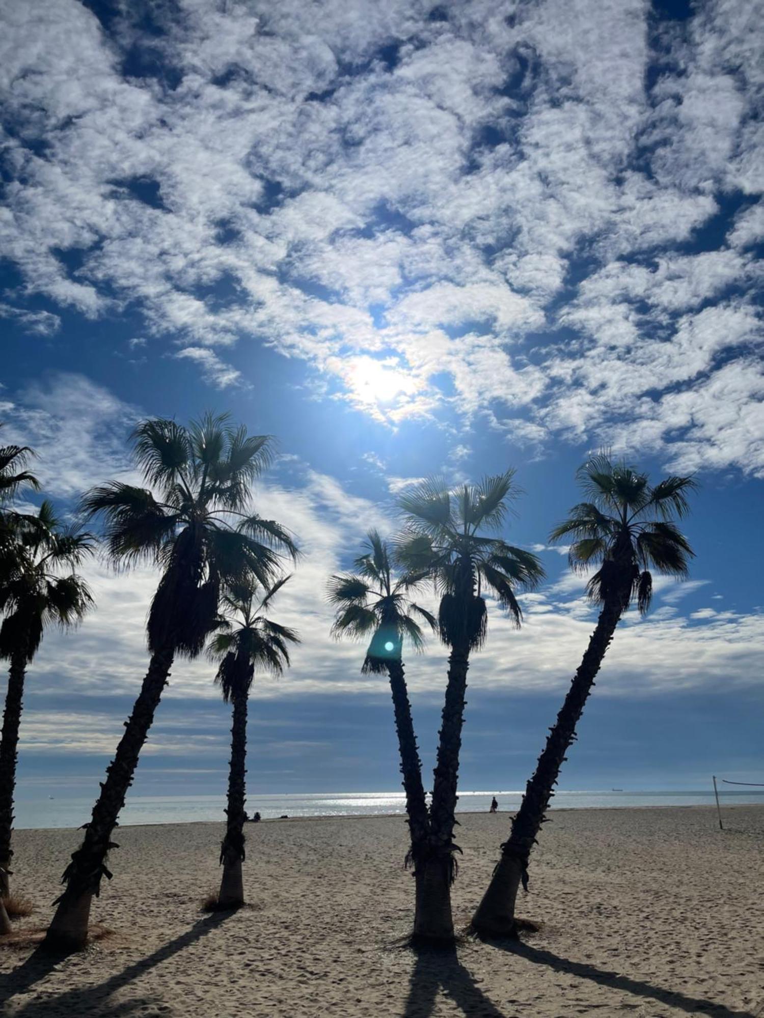 Agh Canet كانيت ذي بيرينغير المظهر الخارجي الصورة