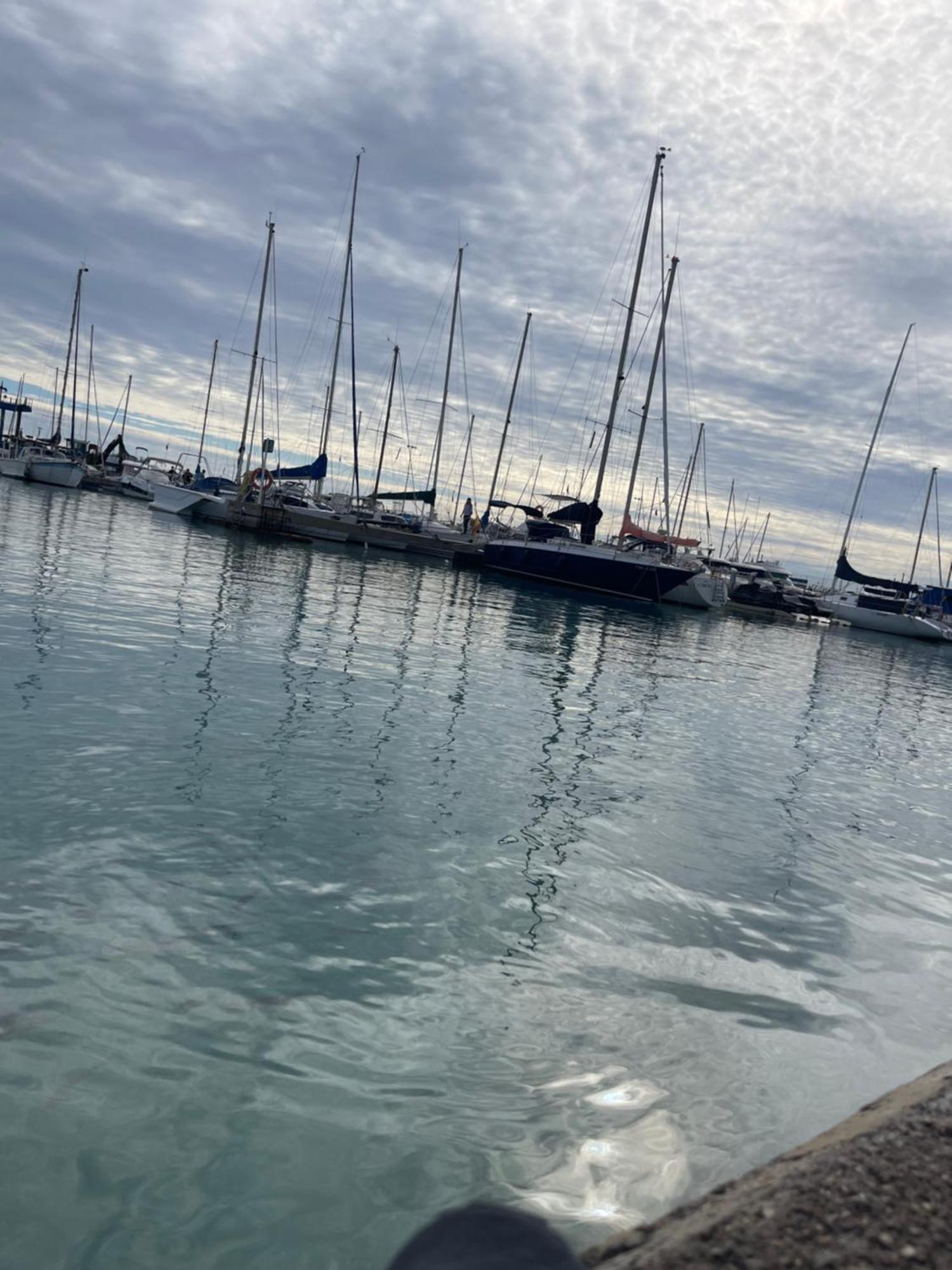 Agh Canet كانيت ذي بيرينغير المظهر الخارجي الصورة
